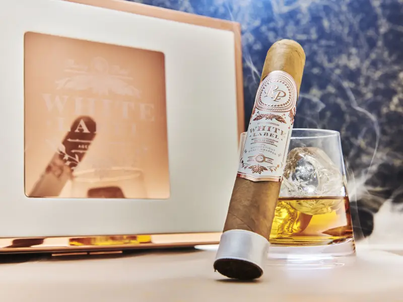 El Viejo Continente Classic Robusto Cigar For Beginner