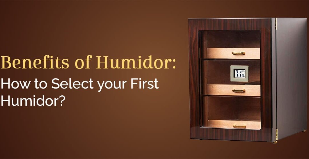 Benefits of Humidor: How to Select Your First Humidor?