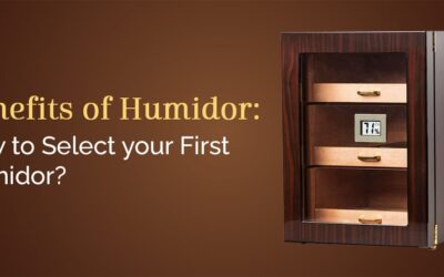 Benefits Of Humidor: How To Select Your First Humidor?