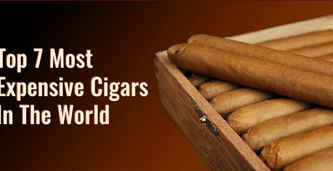 Top 7 Most Expensive Cigars in the World