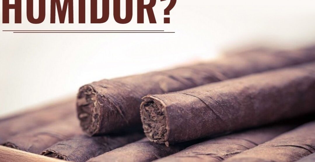How to Store Cigars in a Humidor
