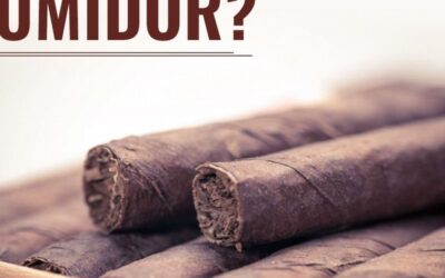How To Store Cigars In A Humidor