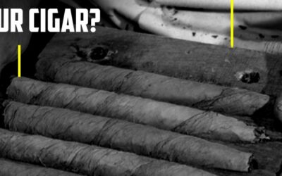 Did You Know Your Cigar?