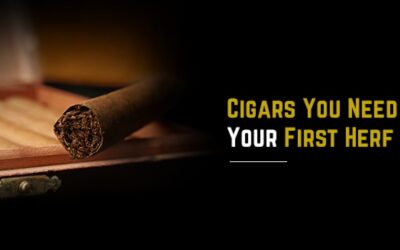 Cigars You Need At Your First Herf