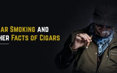 Cigar Smoking And Other Facts Of Cigars