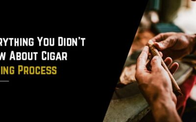 Everything You Didn’T Know About Cigar Making Process