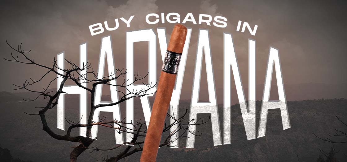 Buy Cigars in Haryana, best cigar shop in Haryana, Cigar Price in Haryana