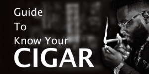 Cigars, How To Choose Cigar