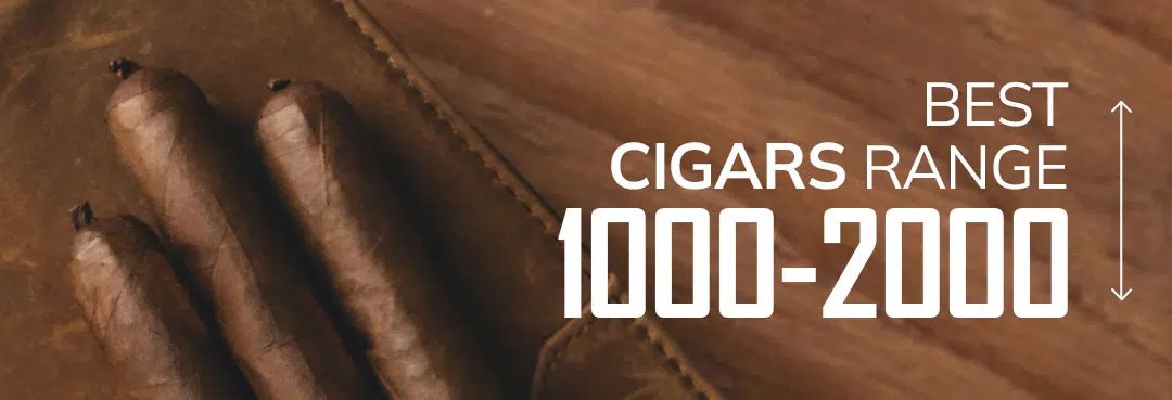 Cigar price between ₹1000-₹2000