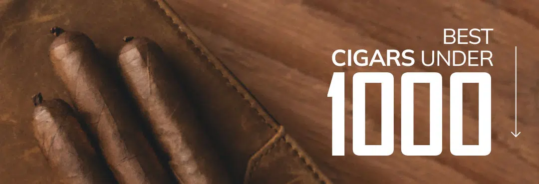 Cigar Price Under 1000