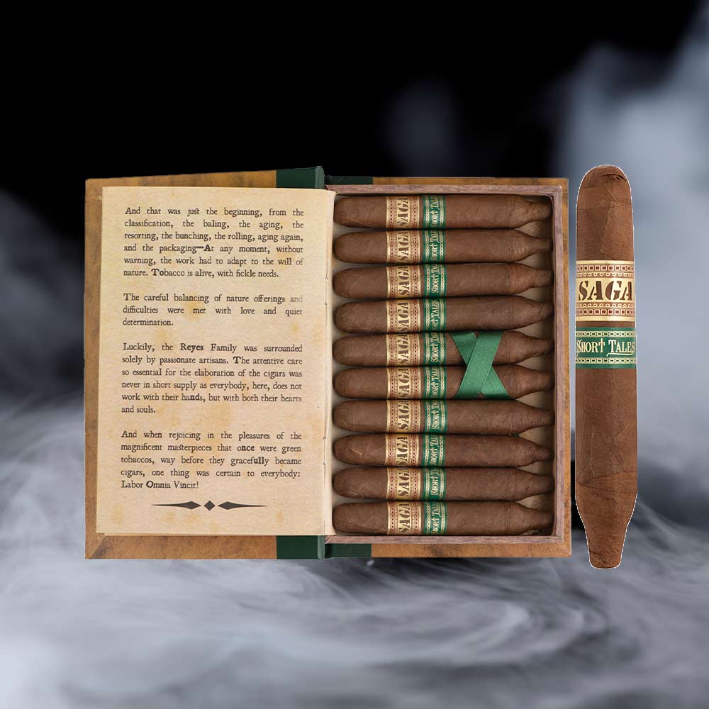 Saga Short Tale Tomo 4