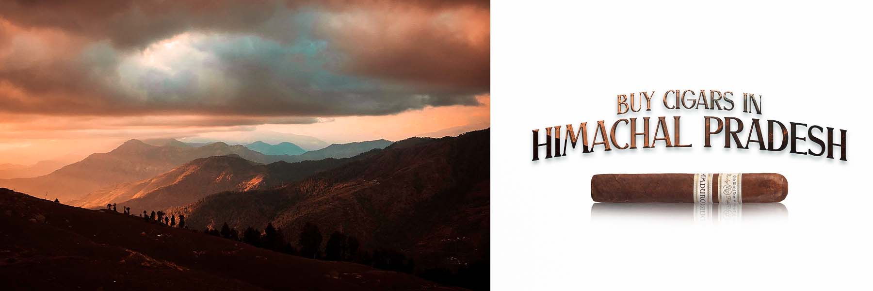 Buy Cigars In Himachal Pradesh, Best Cigar Shop In Himachal Pradesh, Cigar Price In Himachal Pradesh