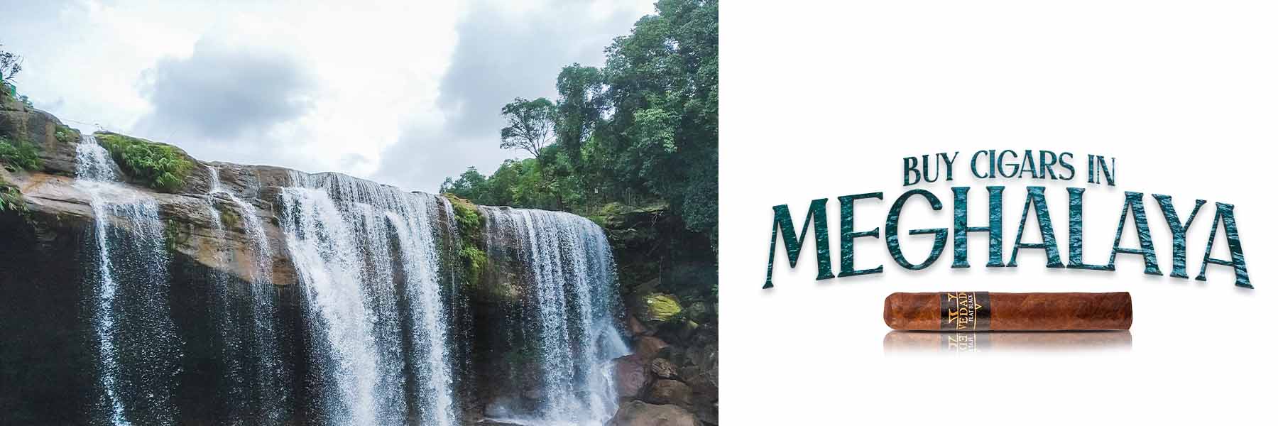Buy Cigars In Meghalaya, Best Cigar Shop In Meghalaya, Cigar Price In Meghalaya