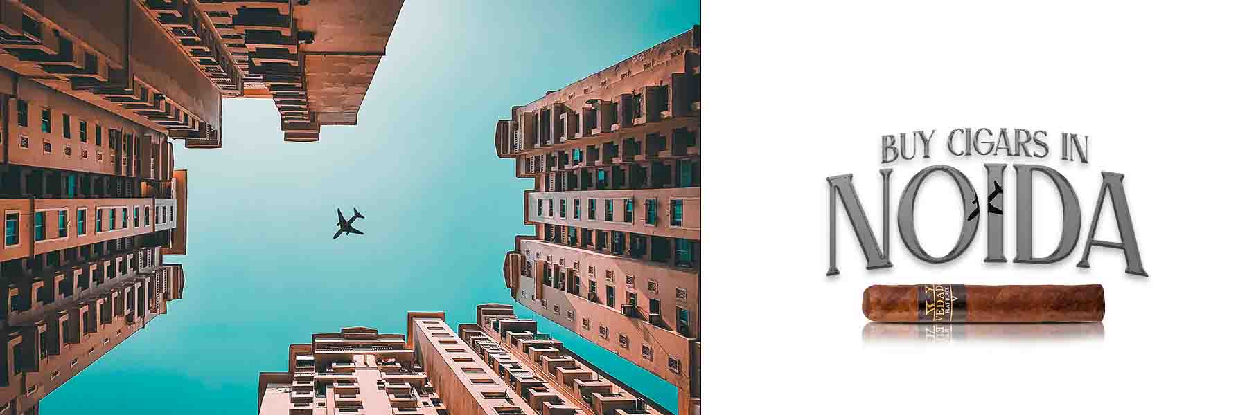 Buy Cigars In Delhi, Best Cigar Shop In Delhi, Cigar Price In Delhi