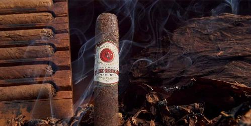 Rocky Patel Sungrown Top 10 Cigar In India