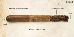 - Cigar Conexion | House Of Handmade Cigars